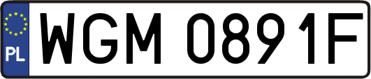 WGM0891F