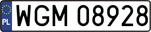 WGM08928