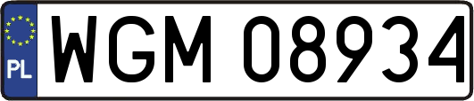 WGM08934