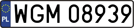 WGM08939
