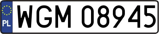 WGM08945