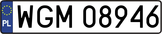WGM08946