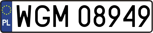 WGM08949