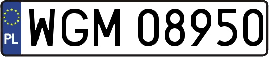 WGM08950