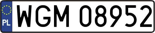 WGM08952