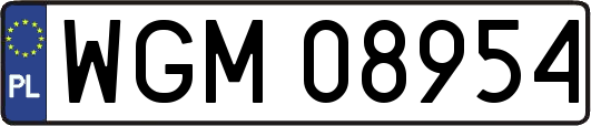 WGM08954
