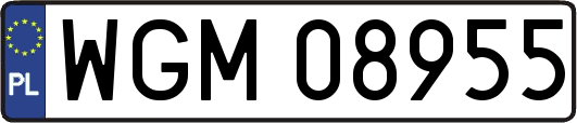 WGM08955