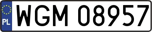 WGM08957
