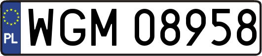 WGM08958