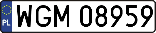 WGM08959