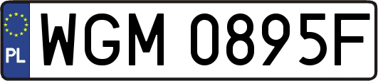 WGM0895F