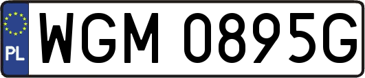 WGM0895G