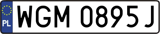 WGM0895J