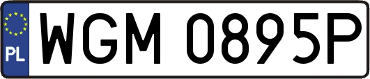 WGM0895P