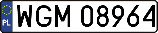 WGM08964