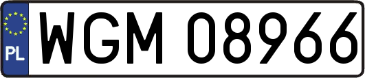 WGM08966