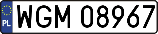WGM08967