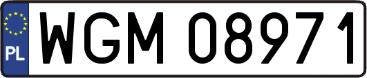 WGM08971