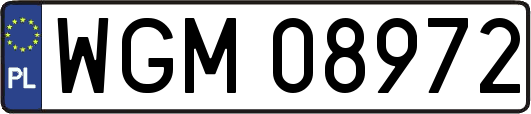 WGM08972