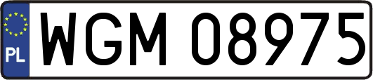 WGM08975