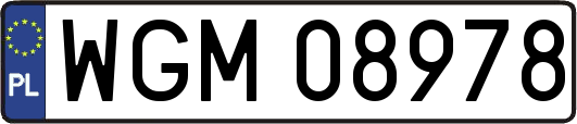 WGM08978