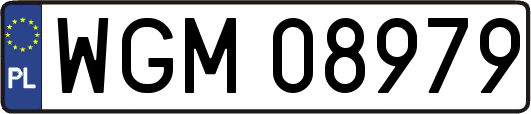 WGM08979