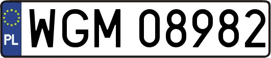 WGM08982