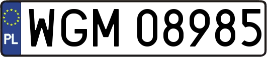 WGM08985