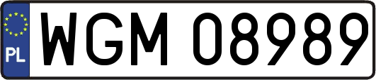 WGM08989