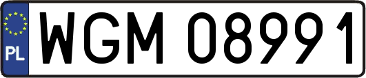 WGM08991