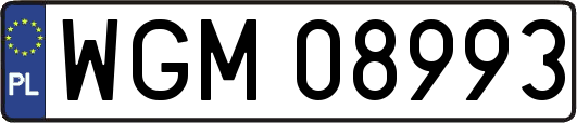 WGM08993