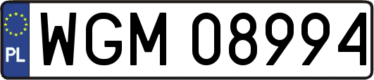 WGM08994