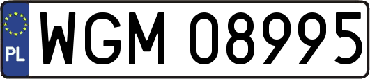 WGM08995