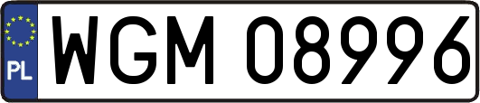 WGM08996