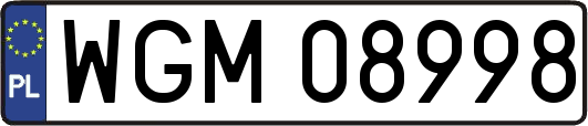 WGM08998
