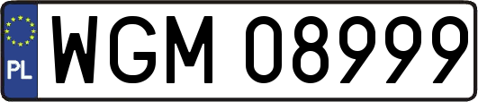 WGM08999