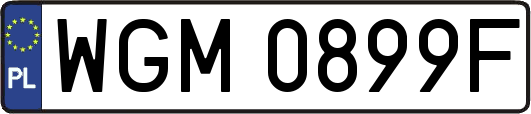WGM0899F