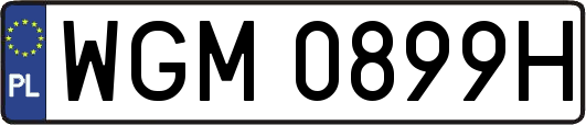 WGM0899H