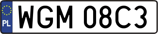 WGM08C3