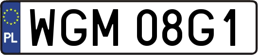 WGM08G1