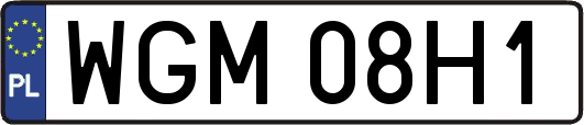 WGM08H1