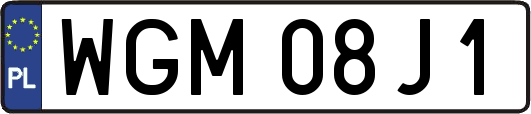 WGM08J1