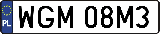 WGM08M3