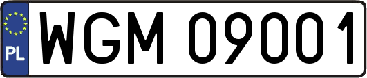 WGM09001