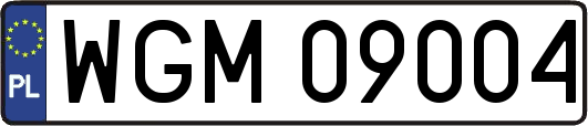 WGM09004