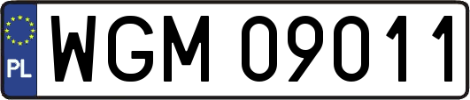 WGM09011