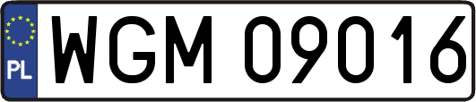 WGM09016