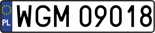 WGM09018