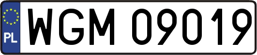WGM09019