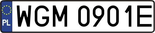 WGM0901E